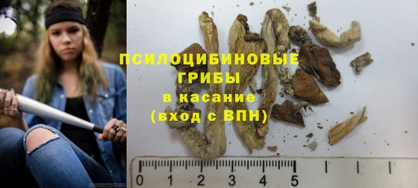 экстази Алексин