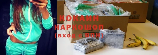 гашик Осташков
