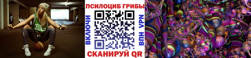 Псилоцибиновые грибы мицелий  Лаишево 