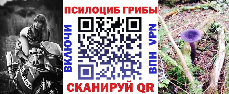 Галлюциногенные грибы MAGIC MUSHROOMS Лаишево
